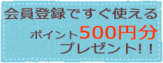 ポイント500円プレゼント